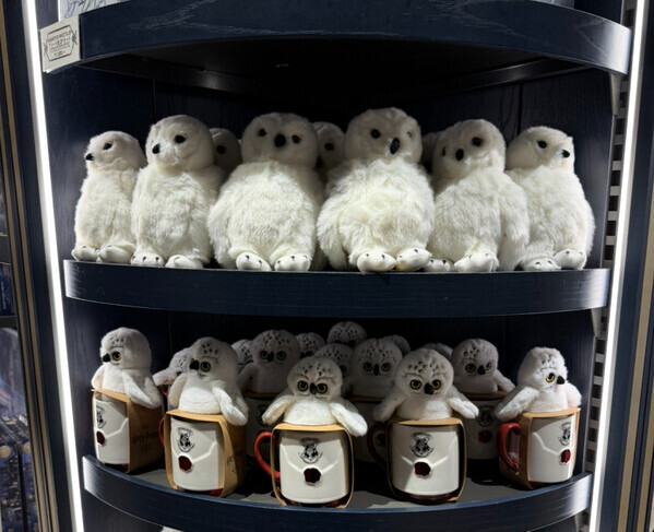 子どもも大人も心奪われる、“ホグワーツのクリスマス”を満喫できるスタジオツアーへ