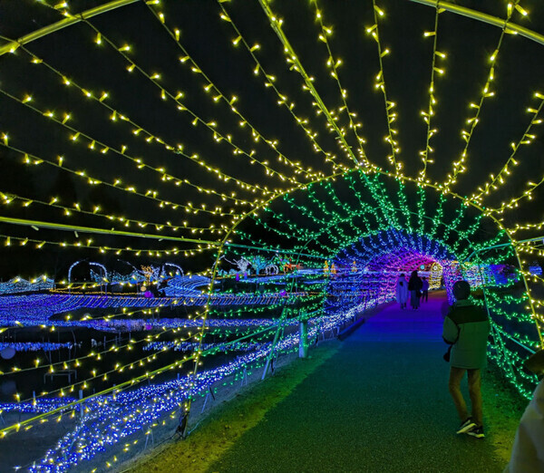 1月末まで開催！【国営アルプスあづみの公園　堀金・穂高地区】のイルミネーション♡