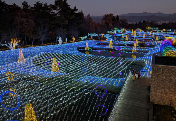 1月末まで開催！【国営アルプスあづみの公園　堀金・穂高地区】のイルミネーション♡