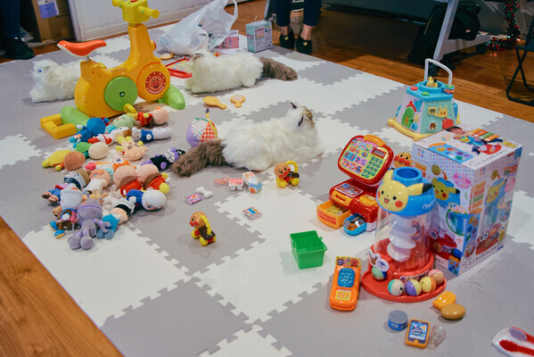 菊地亜美プロデュース【MAMARIAL fes. 2025】2Daysになってパワーアップ！当日の様子をレポ♪