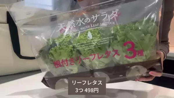 「買って損なし！」コストコの買い物とアレンジは料理上手さんのマネすればOK！マニアおすすめの人気商品25選【第1弾】