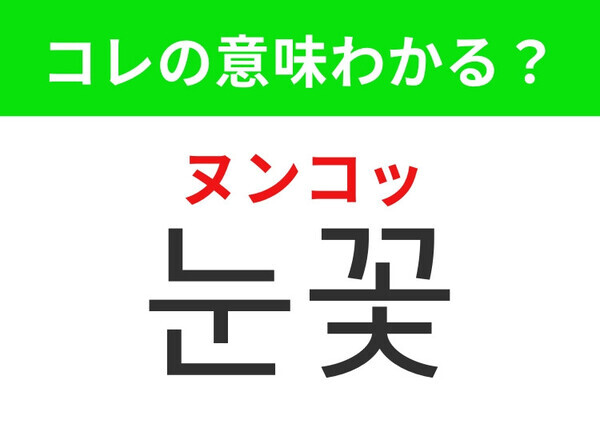 【韓国生活編】冬の幻想的できれいなアレ！「눈꽃（ヌンコッ）」の意味は？