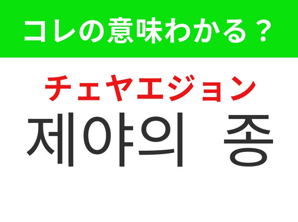 【韓国生活編】大みそかの夜のあの恒例行事！「제야의 종（チェヤエジョン）」の意味は？