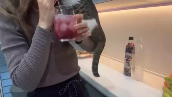 「買って損なし！」コストコの買い物とアレンジは料理上手さんのマネすればOK！マニアおすすめの人気商品25選【第1弾】