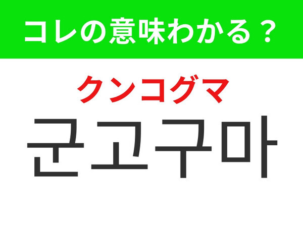 【韓国グルメ編】寒い日に食べるとほっこりするおいしいもの！「군고구마（クンコグマ）」の意味は？