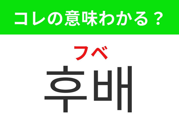 【韓国生活編】慕われるとうれしいあの存在！「후배（フベ）」の意味は？