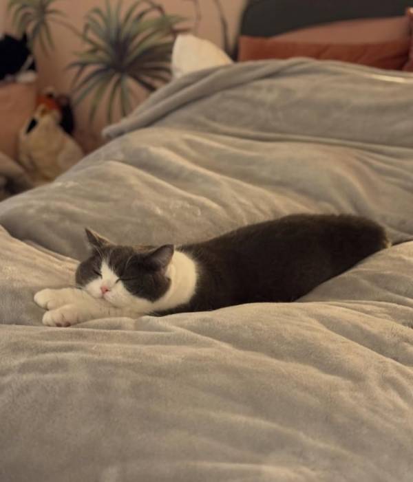 「気持ち良さすぎ～」なモフモフ寝姿に思わず歓喜♪