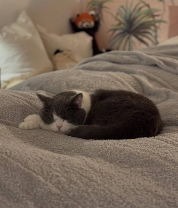 「気持ち良さすぎ～」なモフモフ寝姿に思わず歓喜♪