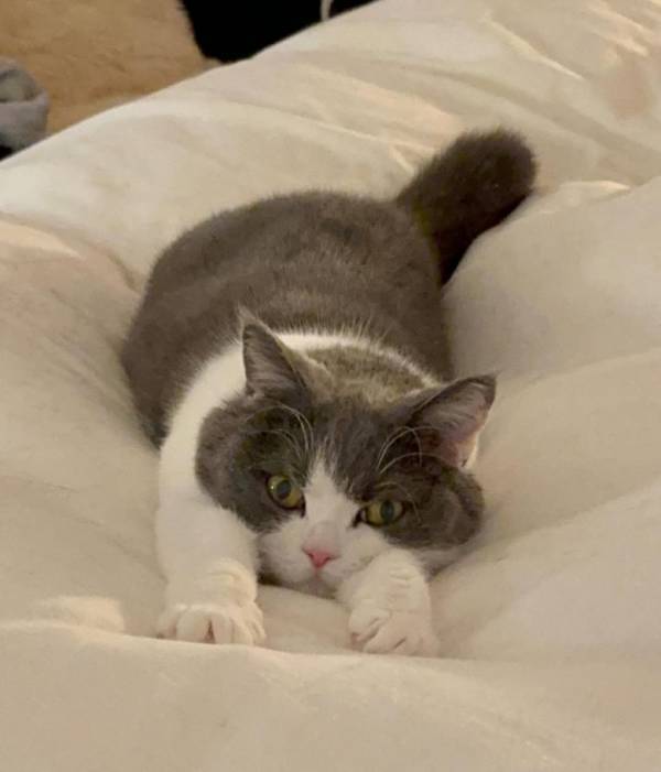 「気持ち良さすぎ～」なモフモフ寝姿に思わず歓喜♪