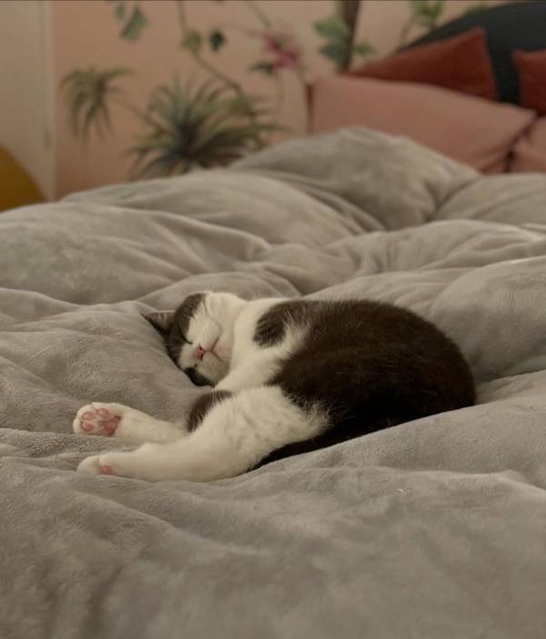 「気持ち良さすぎ～」なモフモフ寝姿に思わず歓喜♪