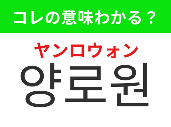 【韓国生活編】高齢化により選択肢が増えているもの！「양로원（ヤンロウォン）」の意味は？