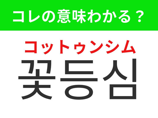 【韓国グルメ編】ちょっと高級なあの食べ物！「꽃등심（コットゥンシム）」の意味は？