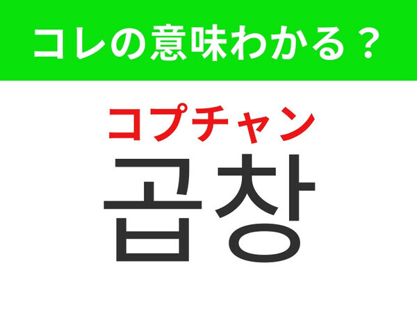 【韓国グルメ編】ぷりっとした食感のあの食べ物！「곱창（コプチャン）」の意味は？