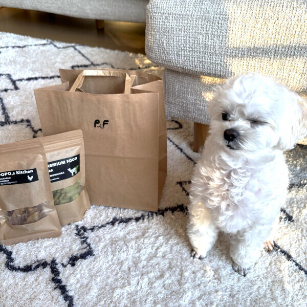 「チラッ…」おやつ狙ってるのがバレバレのイッヌ