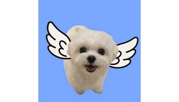 「チラッ…」おやつ狙ってるのがバレバレのイッヌ