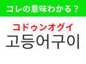 【韓国グルメ編】韓国で定番の香ばしいあの料理！「고등어구이（コドゥンオグイ）」の意味は？