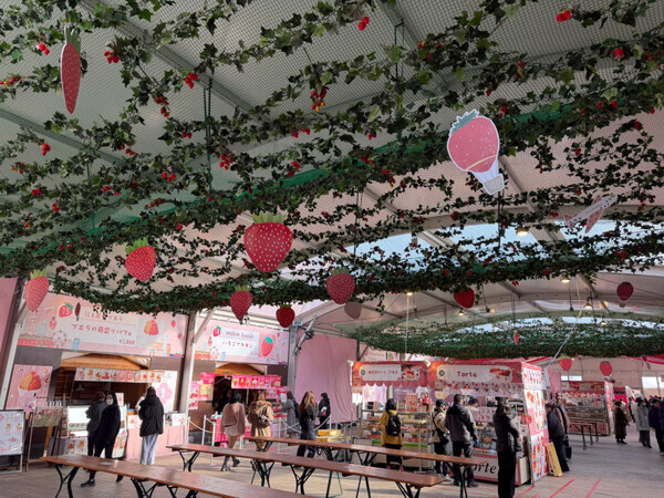 【関西ママ必見！】横浜で開催されたストロベリーフェスティバル2026は、大阪でもスタート！