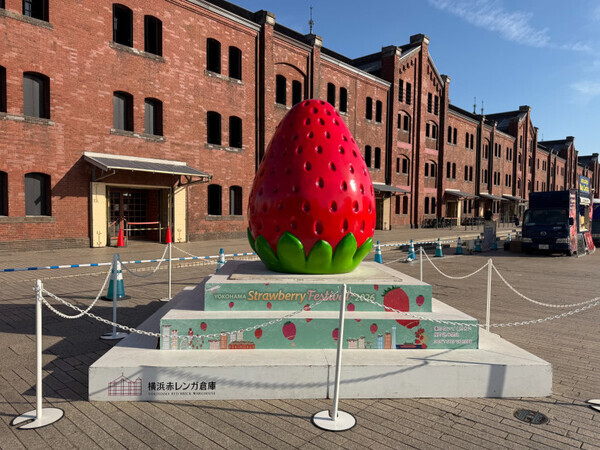 【関西ママ必見！】横浜で開催されたストロベリーフェスティバル2026は、大阪でもスタート！