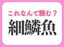 【細鱗魚】はなんて読む？ひらがな2文字の魚です！