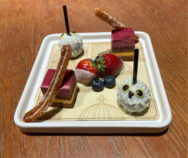 映画『ハリー・ポッターと賢者の石』公開25周年記念イベント！“魔法学校へ入学するドキドキ”を【スタジオツアー東京】で体験しよう！