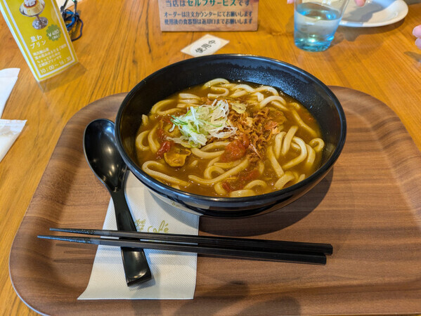 長野県飯山市の【いいやま菜の花まつり】GWに菜の花で癒されるひと時を♡