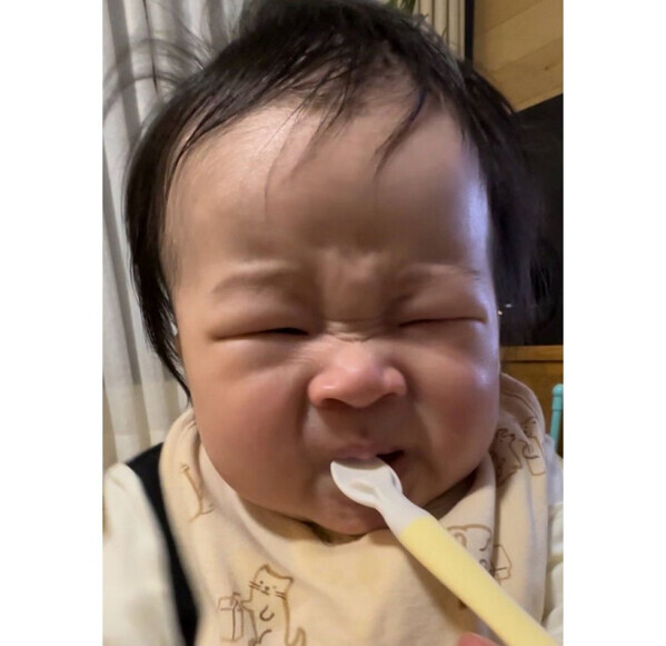 遺伝子の不思議！スプーンを嫌がるそっくりきょうだい