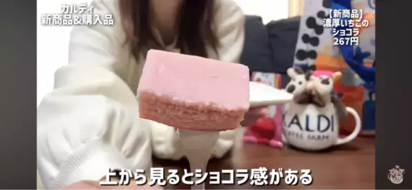 【カルディ】麻辣湯に豆花も！マニアがリピ買いする「ストック必至の16選」2026年4月最新