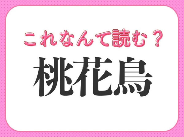 【桃花鳥】はなんて読む？ひらがな2文字の鳥です！