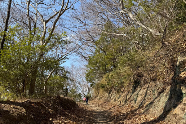 「セラピーロード」で親子時間＆達成感を満喫♡【大分県・高崎山】4歳児とハイキングデビュー！【九州ママ通信Vol.28】