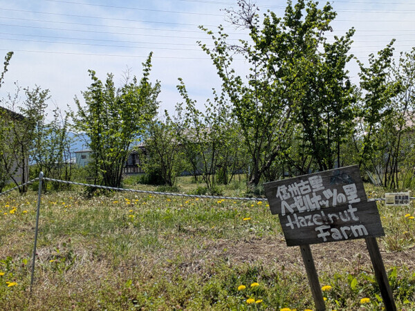 【長野ご当地スイーツ】現地でしか味わえない！？【ふるフル】のつくりたて生アイスに夢中♪