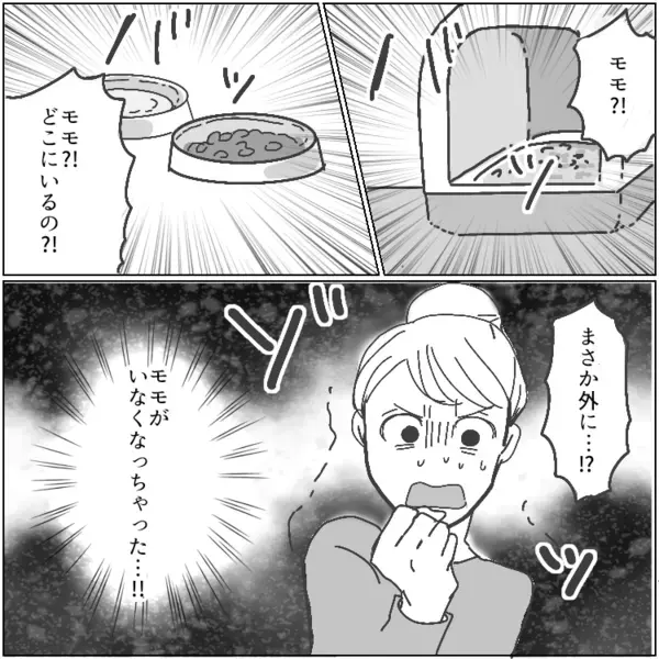 「猫のフンくらい大目に見ろ」「外でのびのび育てるべきだ！」毎朝のように我が家へ猫を見にくる迷惑夫婦！多頭飼育でトラブルの連発⇒ある日、飼い猫が消えてしまっていて・・・