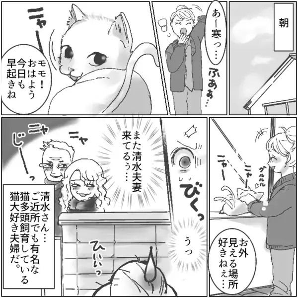 「猫のフンくらい大目に見ろ」「外でのびのび育てるべきだ！」毎朝のように我が家へ猫を見にくる迷惑夫婦！多頭飼育でトラブルの連発⇒ある日、飼い猫が消えてしまっていて・・・