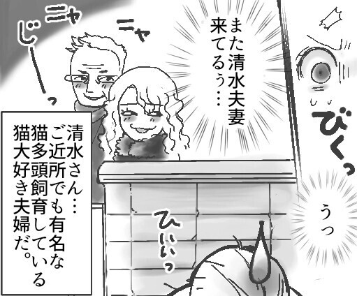「猫のフンくらい大目に見ろ」「外でのびのび育てるべきだ！」毎朝のように我が家へ猫を見にくる迷惑夫婦！多頭飼育でトラブルの連発⇒ある日、飼い猫が消えてしまっていて・・・