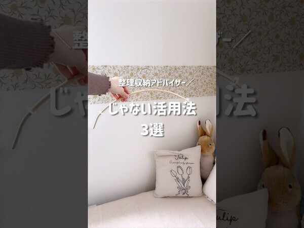 「意外な使い方で大バズり！」【整理収納アドバイザー直伝】100均・セリアの人気商品とは？！