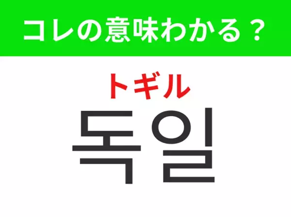 【韓国生活編】クリスマスマーケットで有名な国！「독일（トギル）」の意味は？