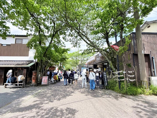 「一度は訪れたい雄大なパワースポット！」【熊本・阿蘇】で親子旅も楽しめる体験三昧の旅とは！？