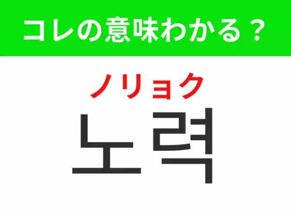【韓国生活編】夢を叶えるための積み重ね！「노력（ノリョク））」の意味は？