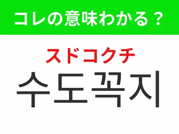 【韓国生活編】キッチンや洗面台にある設備！「수도꼭지（スドコクチ）」の意味は？