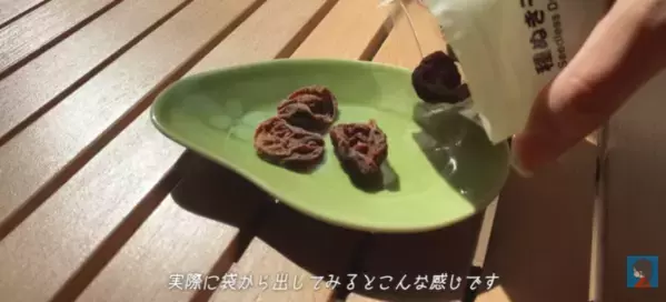 【無印良品】猛暑の夏旅もこれで快適！旅好きYouTuberおすすめのアイテム7選