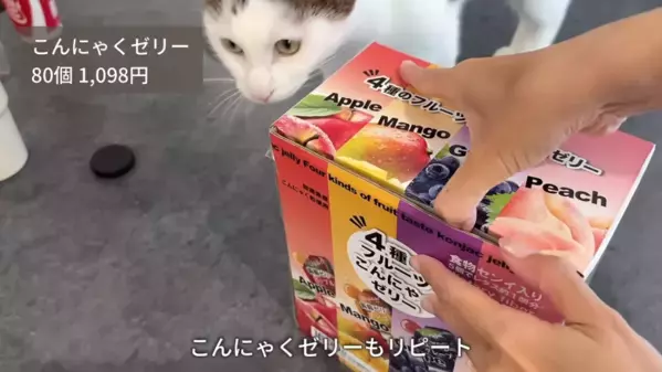 必見！人気YouTuberが厳選する【コストコ】「絶対買うべき」33商品を一挙大公開！