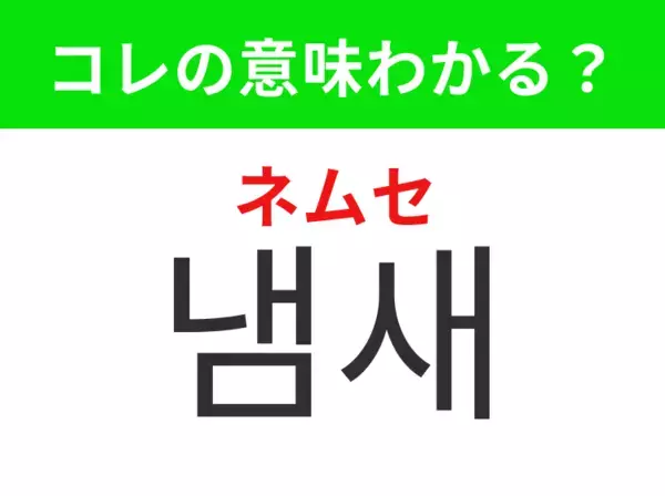 【韓国生活編】鼻で感じるもの！「냄새（ネムセ）」の意味は？