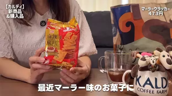 「おいしすぎて元気になる！」見つけたら即カゴへ！【カルディ】マニア激推しの最新おすすめ商品16選