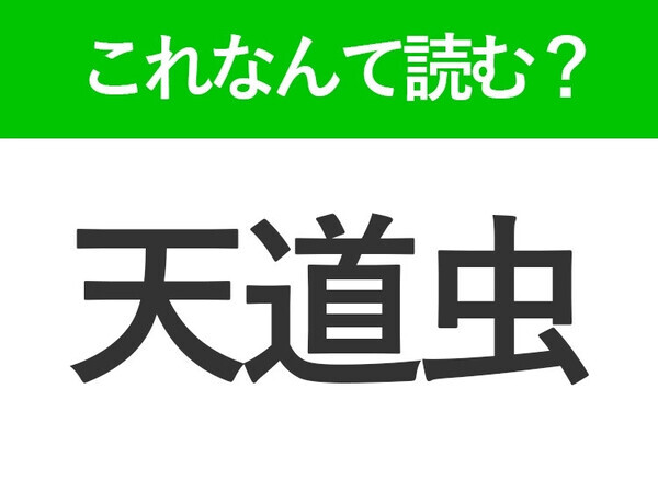 【天道虫】はなんて読む？みんなが知っている可愛い虫の難読漢字！