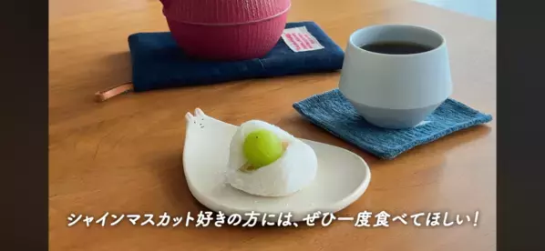 「これだけは買って！」週3で通うコストコマニアがガチで厳選したおすすめ商品紹介＜2026最新＞