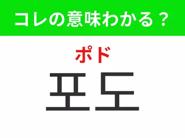 【韓国グルメ編】紫や緑色の小さな粒が集まった果物！「포도（ポド）」の意味は？