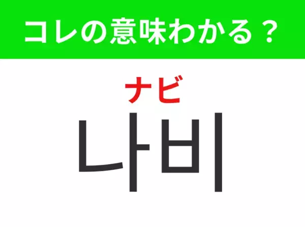 【韓国生活編】花の蜜を吸う羽のある虫！「나비（ナビ）」の意味は？