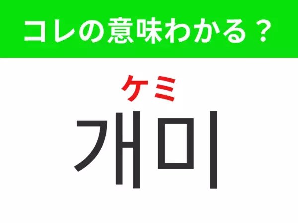 【韓国生活編】列になって歩く小さな虫！「개미（ケミ）」の意味は？