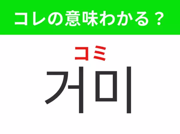 【韓国生活編】8本の脚を持つ虫！「거미（コミ）」の意味は？