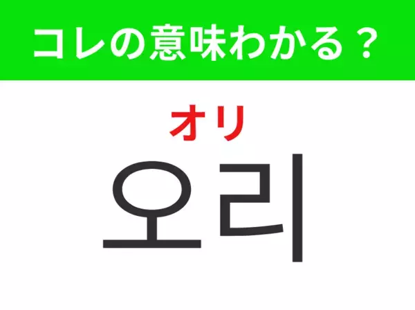 【韓国生活編】黄色いくちばしが特徴の水鳥！「오리（オリ）」の意味は？