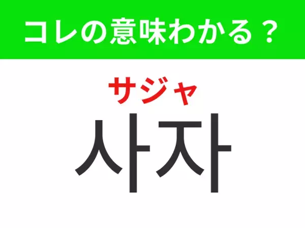【韓国生活編】サバンナに生息する強そうな動物！「사자（サジャ）」の意味は？